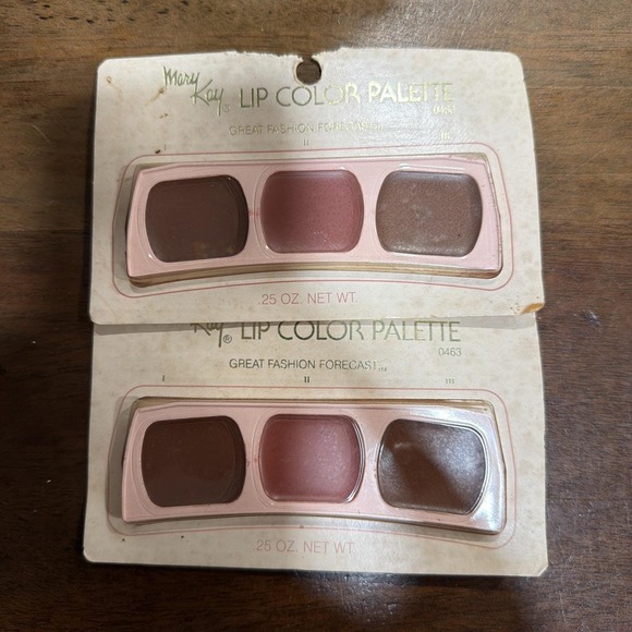 Mary Kay Other - 2-Vintage 1980S Mary Kay Lip Color Palette 0463 Great Fashion Forecast